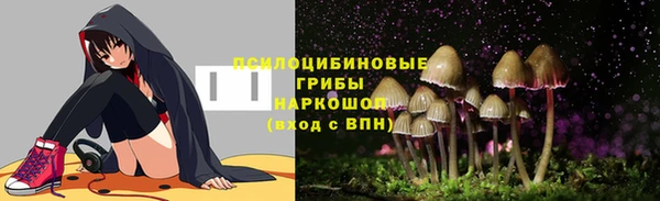 гашик Балабаново