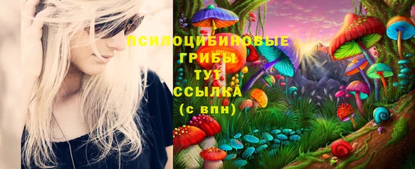 тгк Баксан
