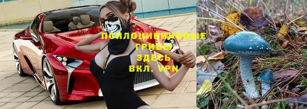 гашик Балахна