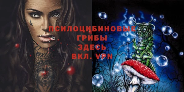 тгк Баксан