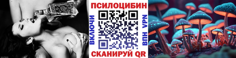 Галлюциногенные грибы Psilocybe  Краснокаменск 